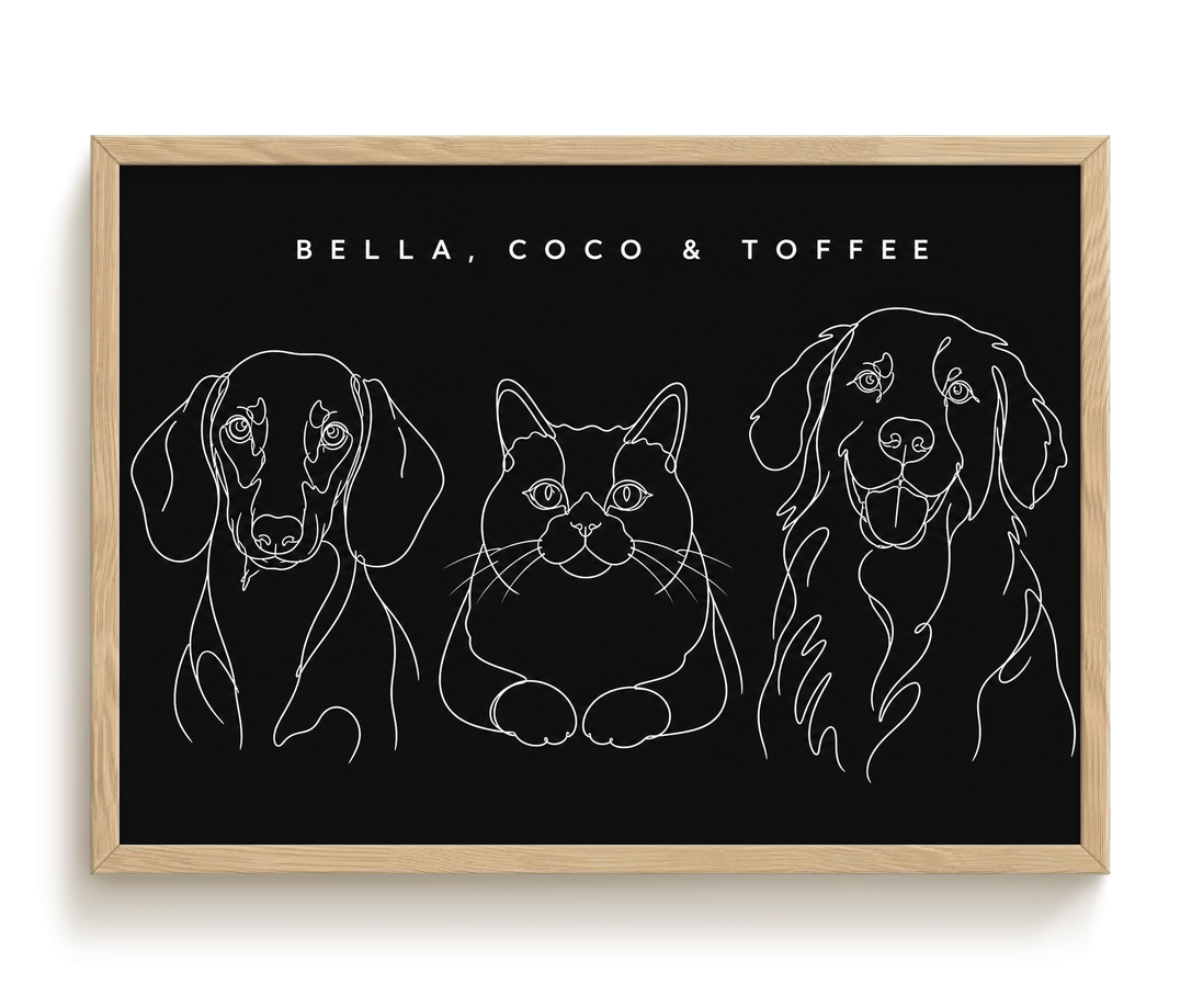 pdp-map:c5a2997bb591ca86:line_drawing_portrait__bella-coco-toffee__bg-242424__text-f7f7f7__Birch_Horizontal.png