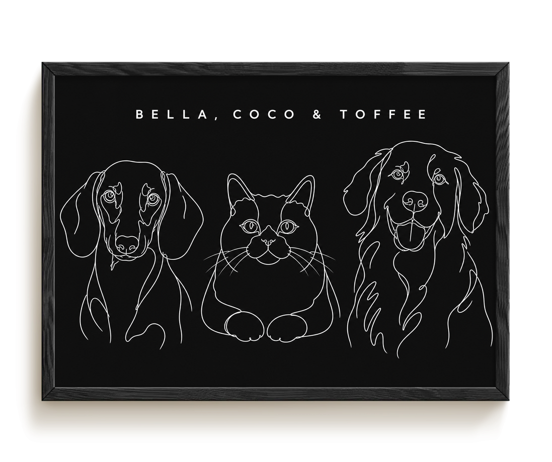 pdp-map:cc83ec071f80d89a:line_drawing_portrait__bella-coco-toffee__bg-242424__text-f7f7f7__Black_Horizontal.png