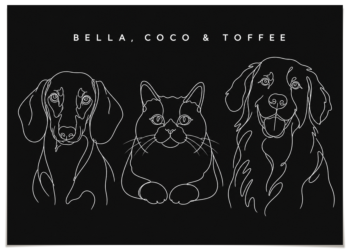 pdp-map:c6de210fdce65989:line_drawing_portrait__bella-coco-toffee__bg-242424__text-f7f7f7__No_Frame_Horizontal.png