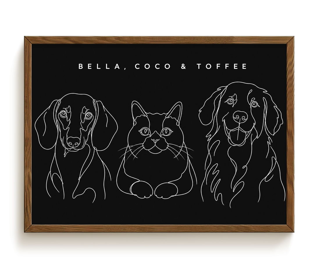 pdp-map:fb25fba4f2cdb9e4:line_drawing_portrait__bella-coco-toffee__bg-242424__text-f7f7f7__Walnut_Horizontal.png