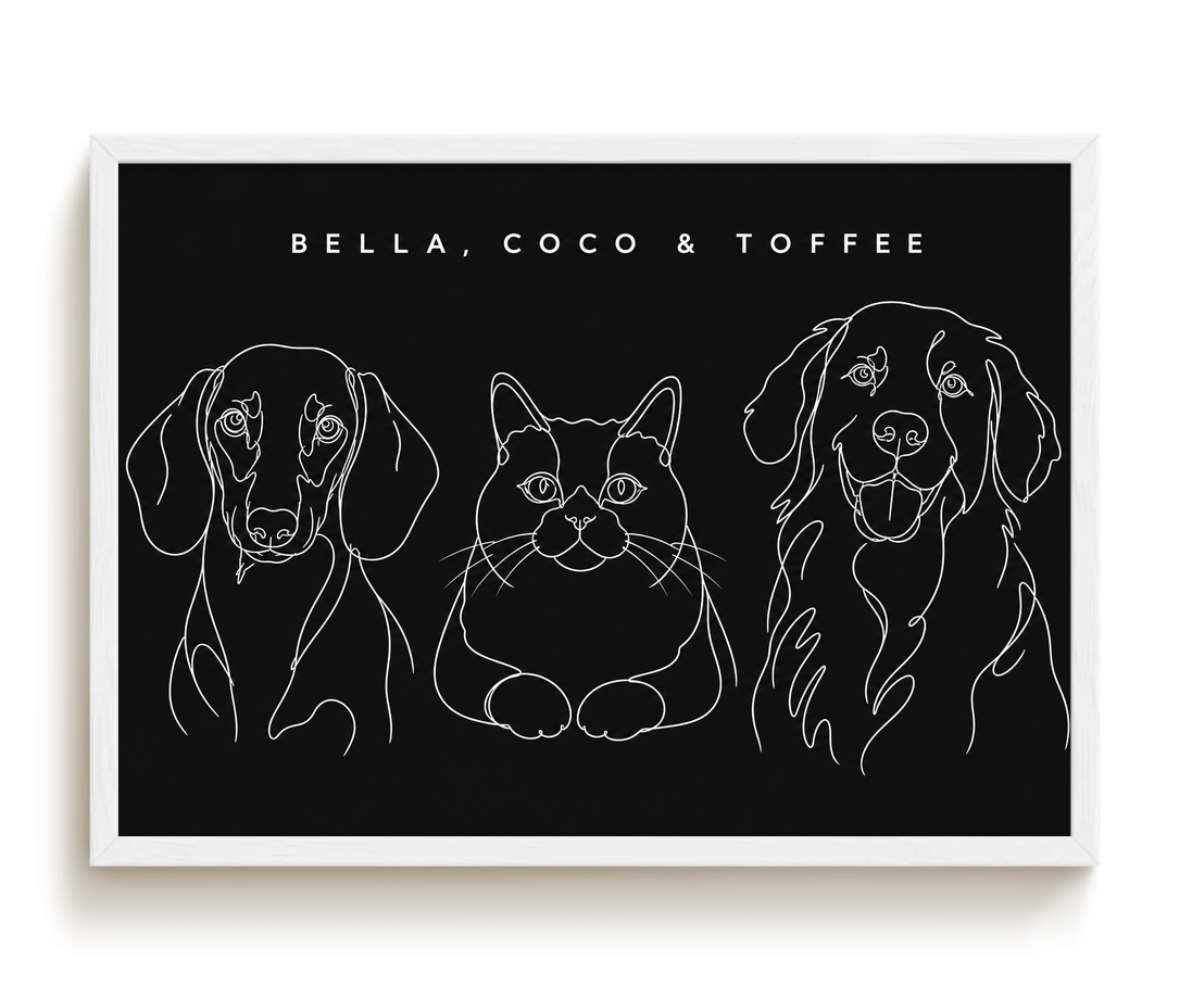 pdp-map:2ef4d784d9d10ca5:line_drawing_portrait__bella-coco-toffee__bg-242424__text-f7f7f7__White_Horizontal.png