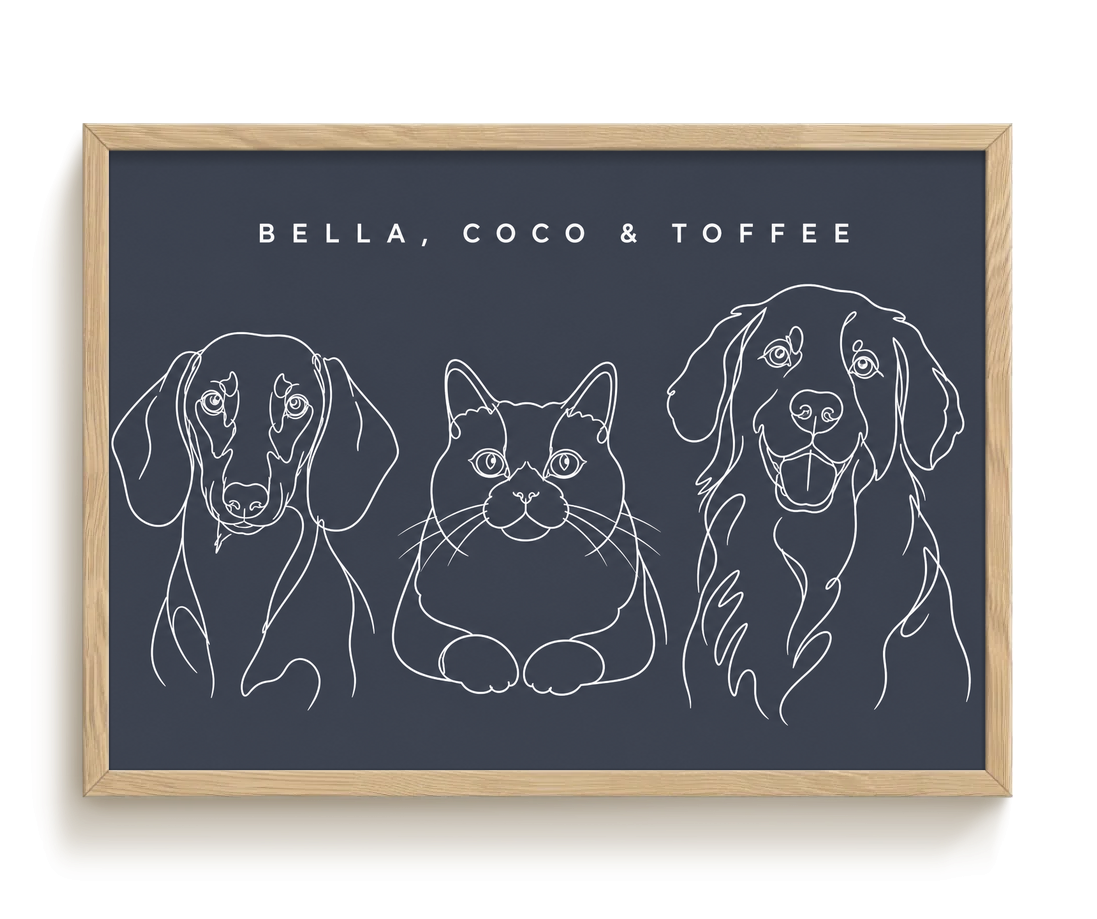 pdp-map:9f8f324d3b39eb5c:line_drawing_portrait__bella-coco-toffee__bg-454b57__text-f7f7f7__Birch_Horizontal.png