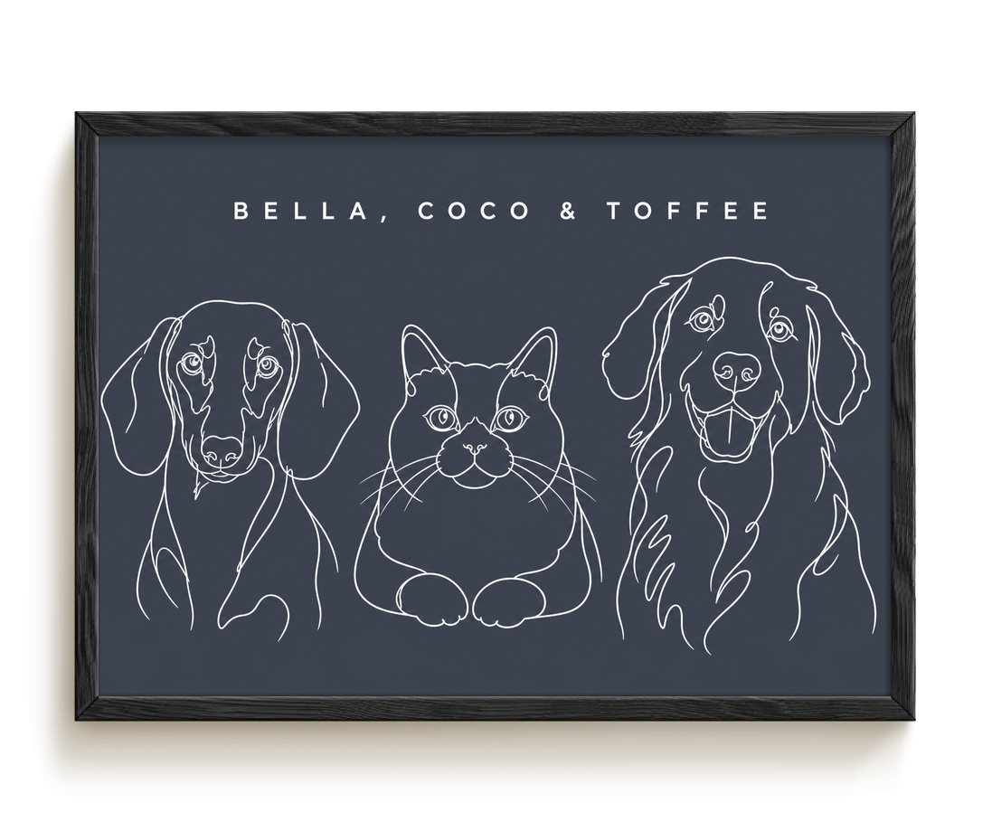 pdp-map:cfa08fc07f6bbdfd:line_drawing_portrait__bella-coco-toffee__bg-454b57__text-f7f7f7__Black_Horizontal.png