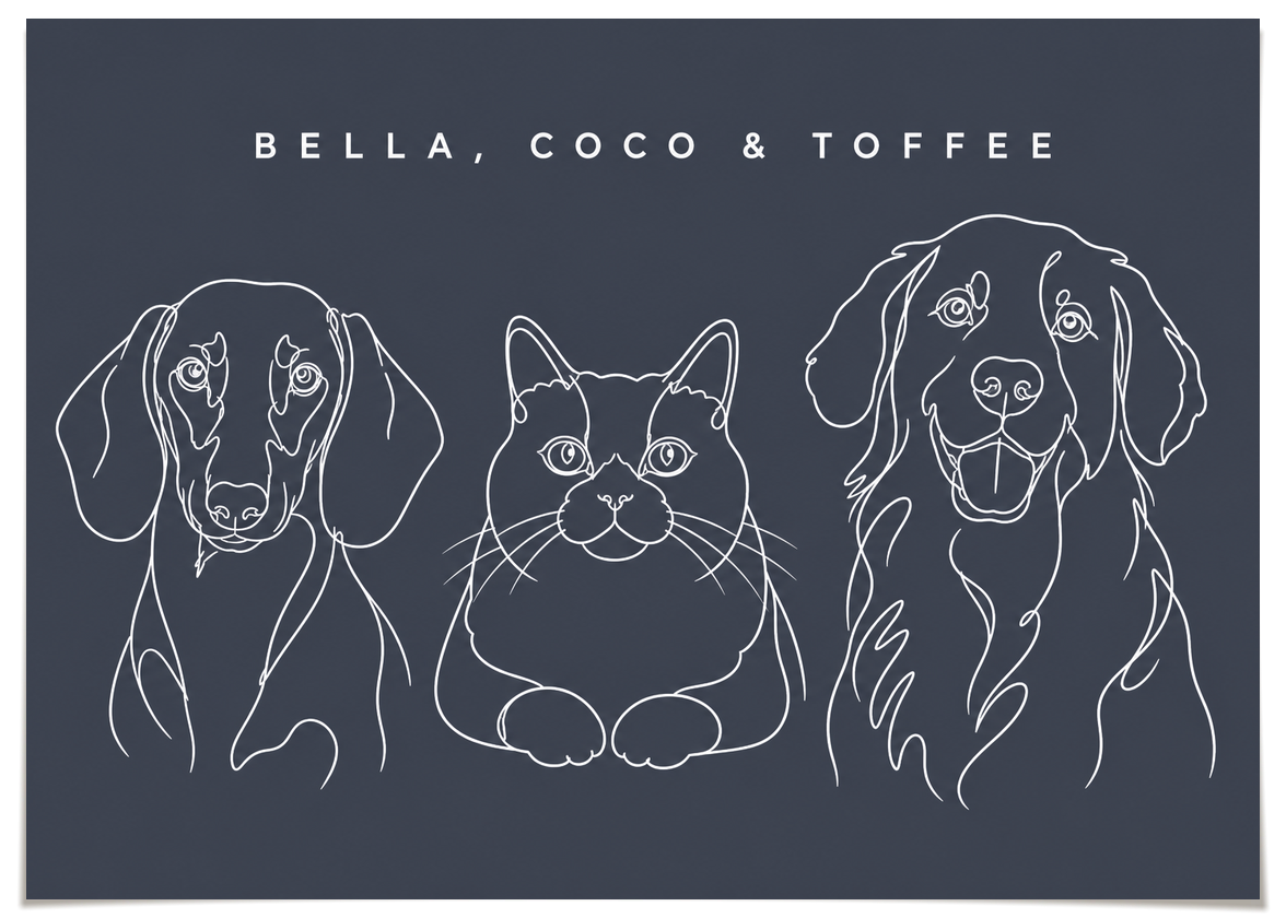 pdp-map:c9c0de32c8160d4f:line_drawing_portrait__bella-coco-toffee__bg-454b57__text-f7f7f7__No_Frame_Horizontal.png