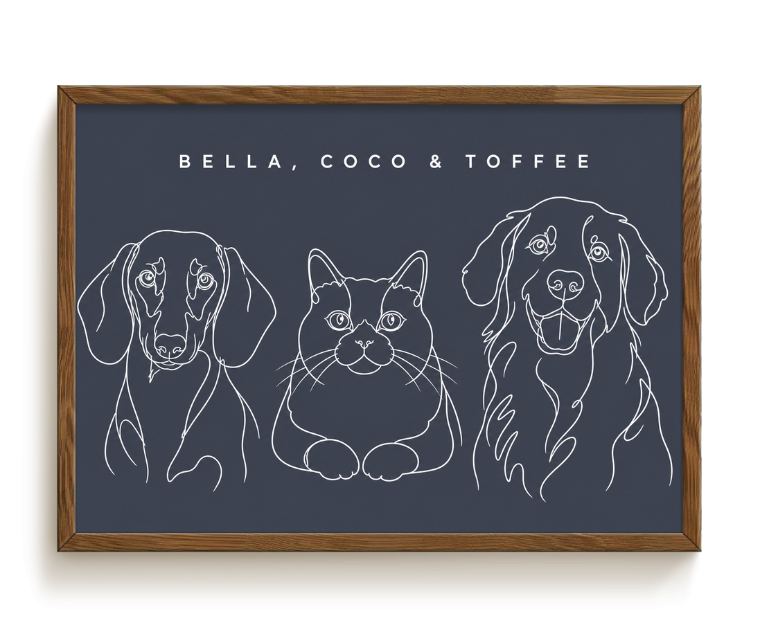 pdp-map:6a60fce317fd6e6a:line_drawing_portrait__bella-coco-toffee__bg-454b57__text-f7f7f7__Walnut_Horizontal.png