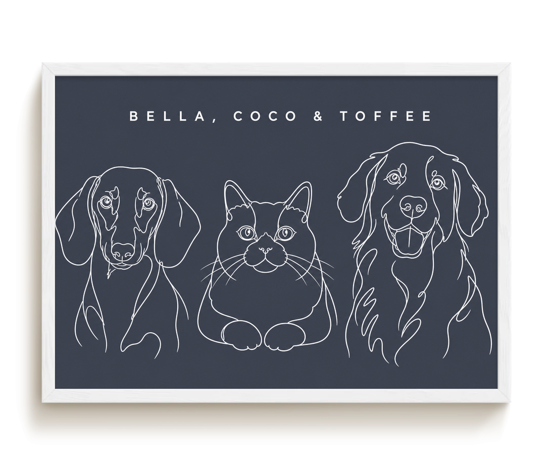 pdp-map:8f617a21ffc22f61:line_drawing_portrait__bella-coco-toffee__bg-454b57__text-f7f7f7__White_Horizontal.png