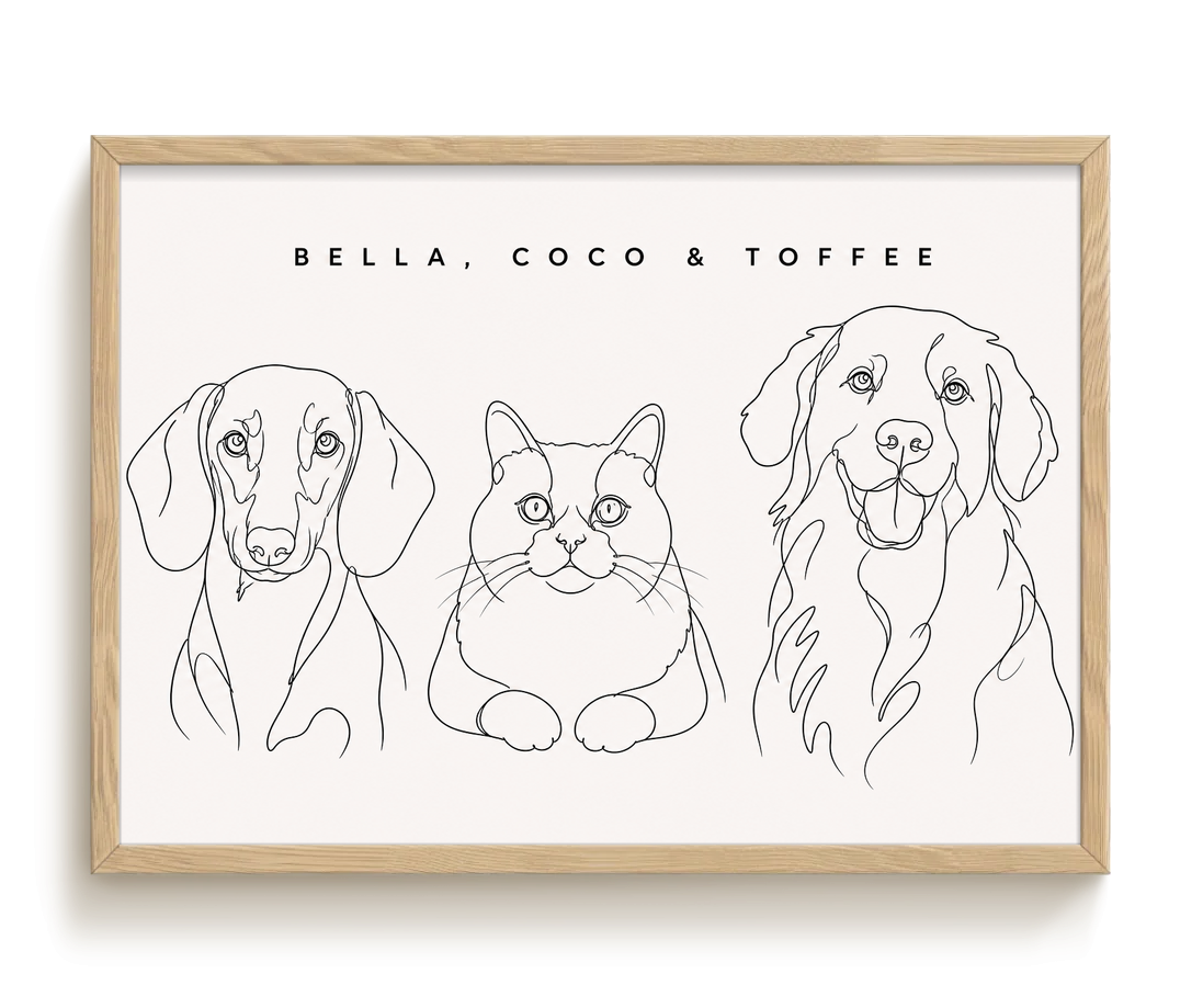 pdp-map:1ffbae75e63e17ad:line_drawing_portrait__bella-coco-toffee__bg-f7f7f7__text-242424__Birch_Horizontal.png