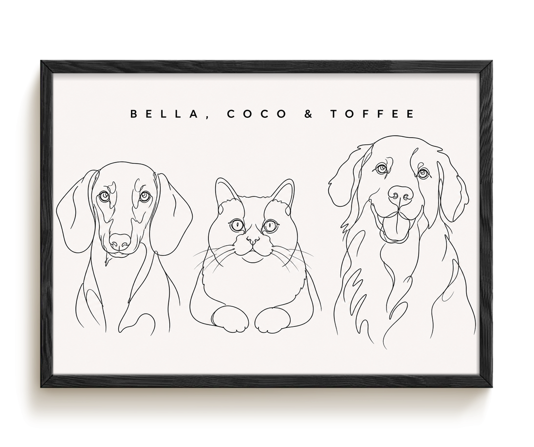 pdp-map:9ee67e6e38609b1d:line_drawing_portrait__bella-coco-toffee__bg-f7f7f7__text-242424__Black_Horizontal.png