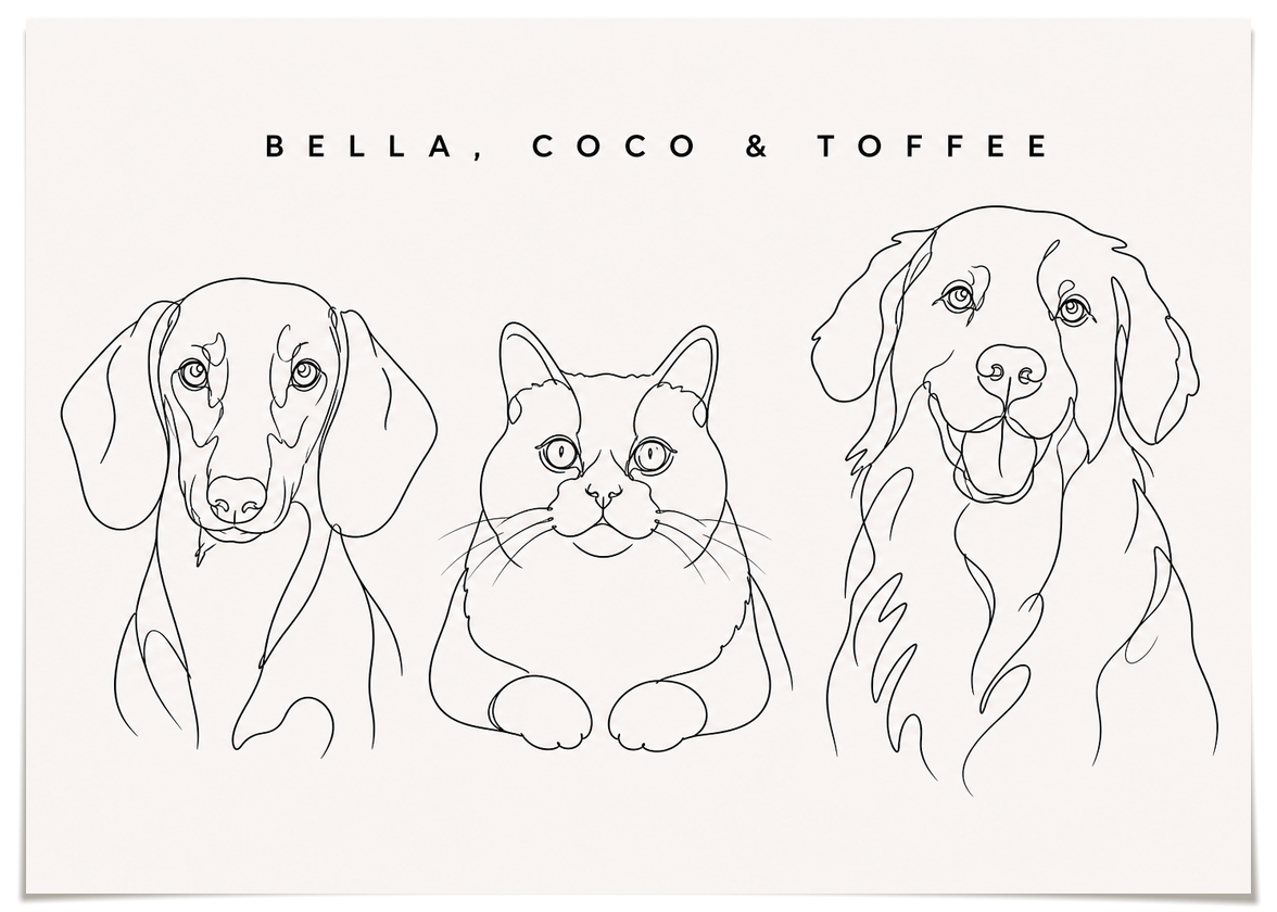 pdp-map:90214f5bd099526e:line_drawing_portrait__bella-coco-toffee__bg-f7f7f7__text-242424__No_Frame_Horizontal.png