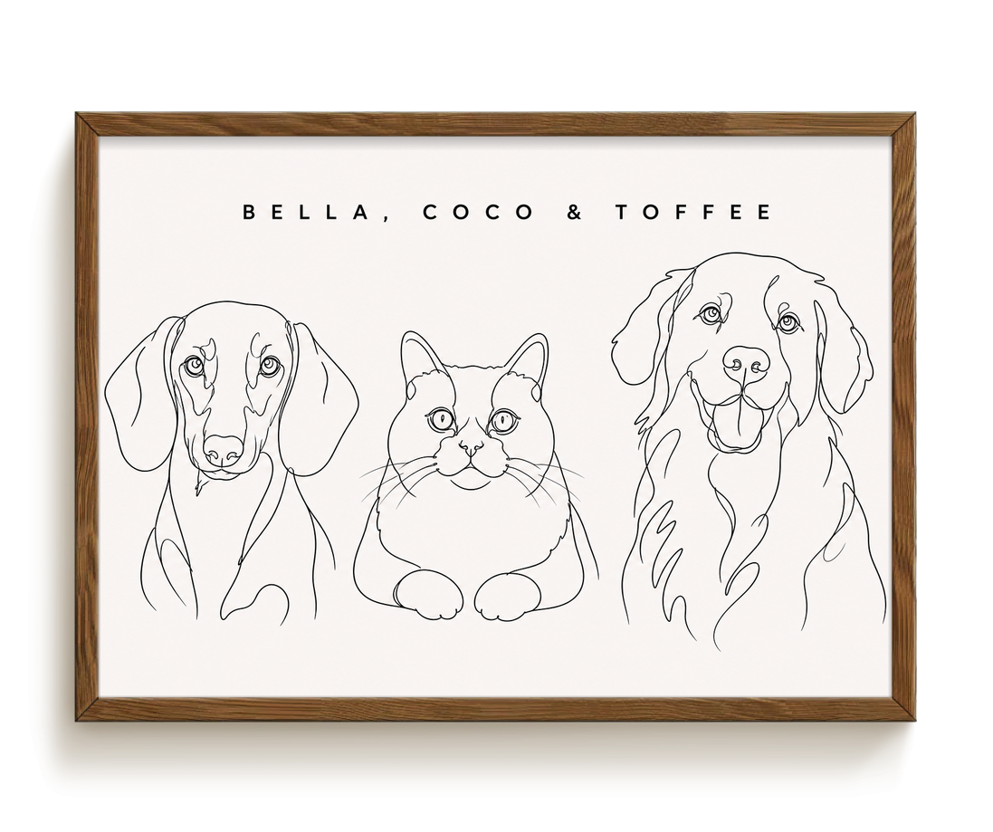 pdp-map:e597d25d9037c2bd:line_drawing_portrait__bella-coco-toffee__bg-f7f7f7__text-242424__Walnut_Horizontal.png