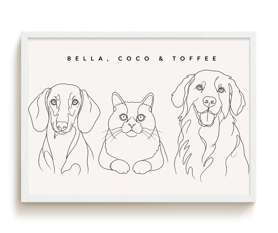 pdp-map:b72a5ef006f8bed3:line_drawing_portrait__bella-coco-toffee__bg-f7f7f7__text-242424__White_Horizontal.png
