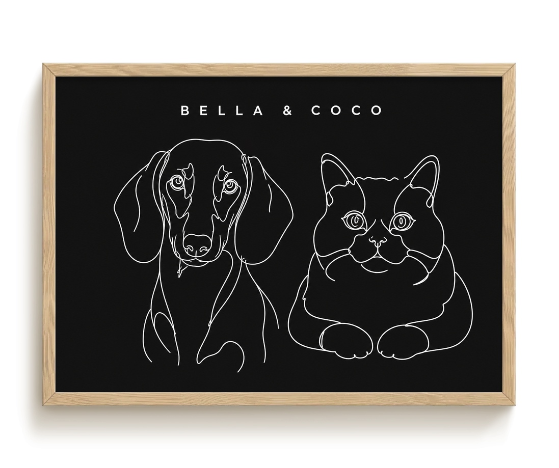 pdp-map:1ec5ddb13c5fa630:line_drawing_portrait__bella-coco__bg-242424__text-f7f7f7__Birch_Horizontal.png