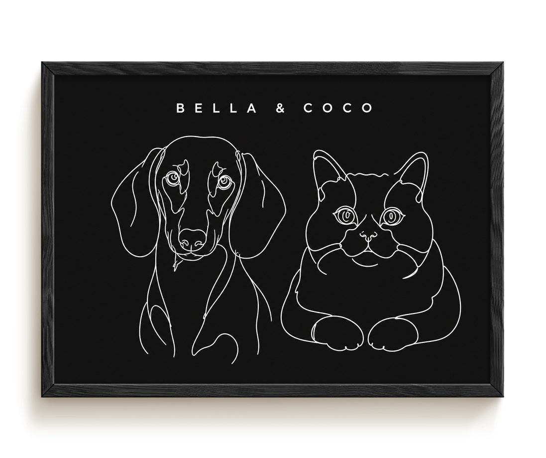 pdp-map:6e45dad6c4fe1be1:line_drawing_portrait__bella-coco__bg-242424__text-f7f7f7__Black_Horizontal.png