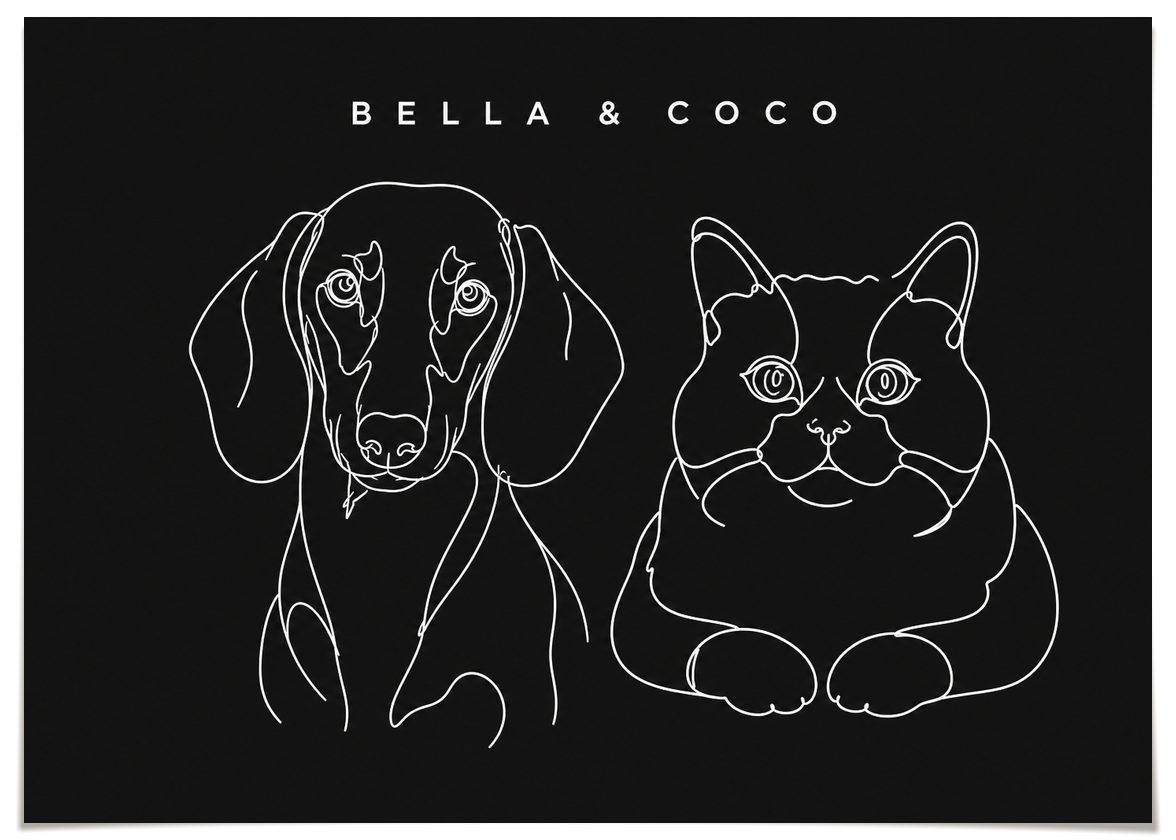 pdp-map:3e2e973d158e27f2:line_drawing_portrait__bella-coco__bg-242424__text-f7f7f7__No_Frame_Horizontal.png