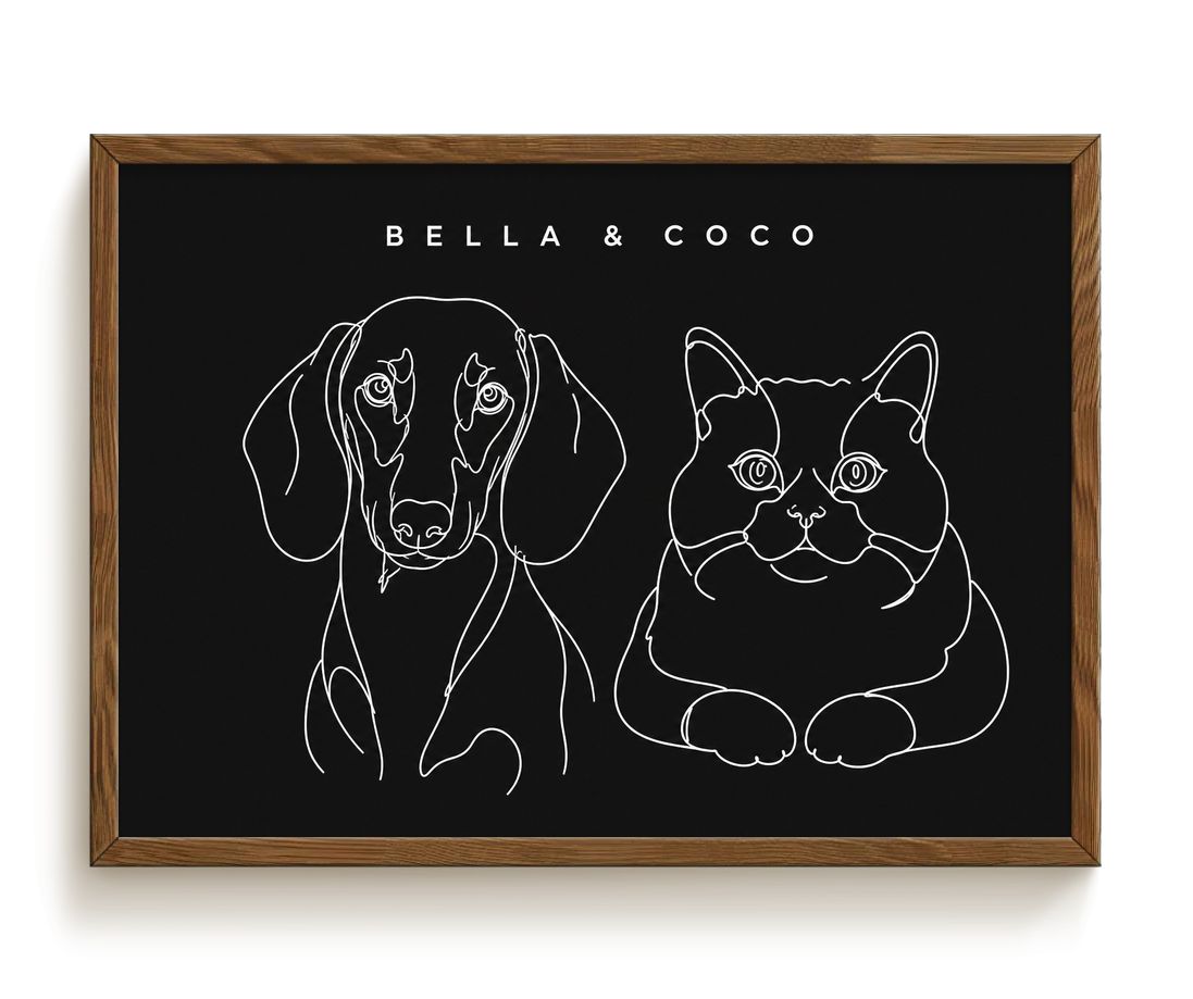 pdp-map:6f102e60f7cde798:line_drawing_portrait__bella-coco__bg-242424__text-f7f7f7__Walnut_Horizontal.png