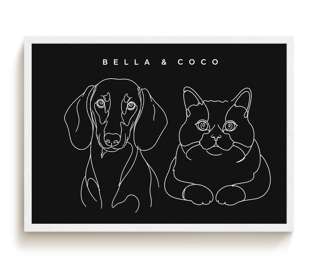 pdp-map:9e2acc53f57cdbf9:line_drawing_portrait__bella-coco__bg-242424__text-f7f7f7__White_Horizontal.png