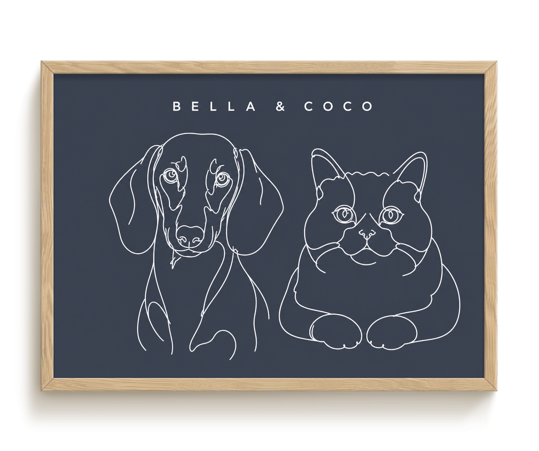 pdp-map:393cb8d884e67e9f:line_drawing_portrait__bella-coco__bg-454b57__text-f7f7f7__Birch_Horizontal.png