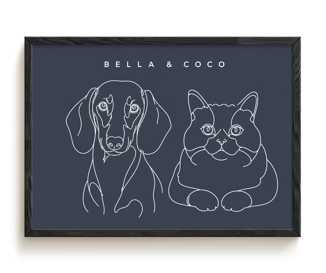 pdp-map:c8f5b1fb97617a5c:line_drawing_portrait__bella-coco__bg-454b57__text-f7f7f7__Black_Horizontal.png