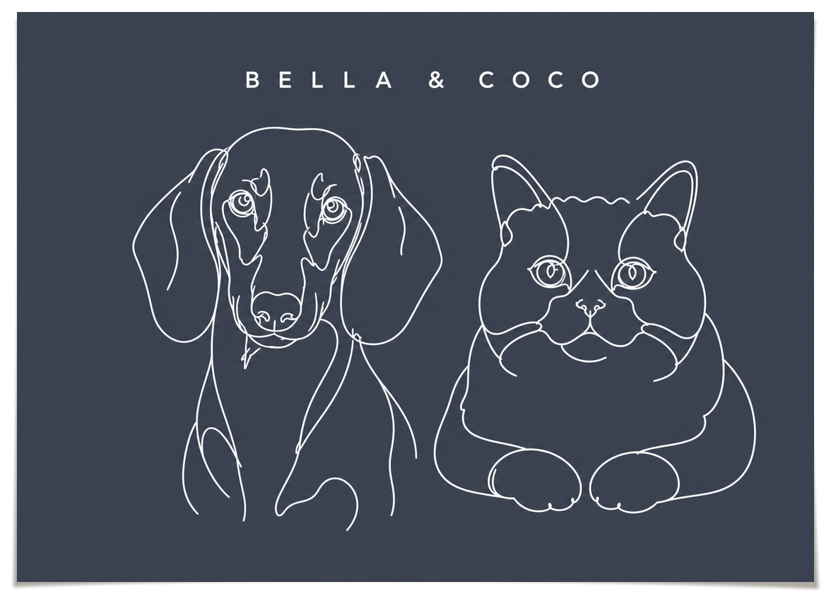 pdp-map:68e50aa9a2588676:line_drawing_portrait__bella-coco__bg-454b57__text-f7f7f7__No_Frame_Horizontal.png