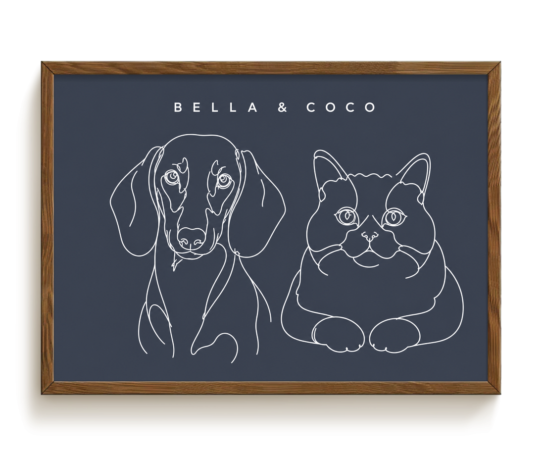 pdp-map:400ab358d90a70ec:line_drawing_portrait__bella-coco__bg-454b57__text-f7f7f7__Walnut_Horizontal.png