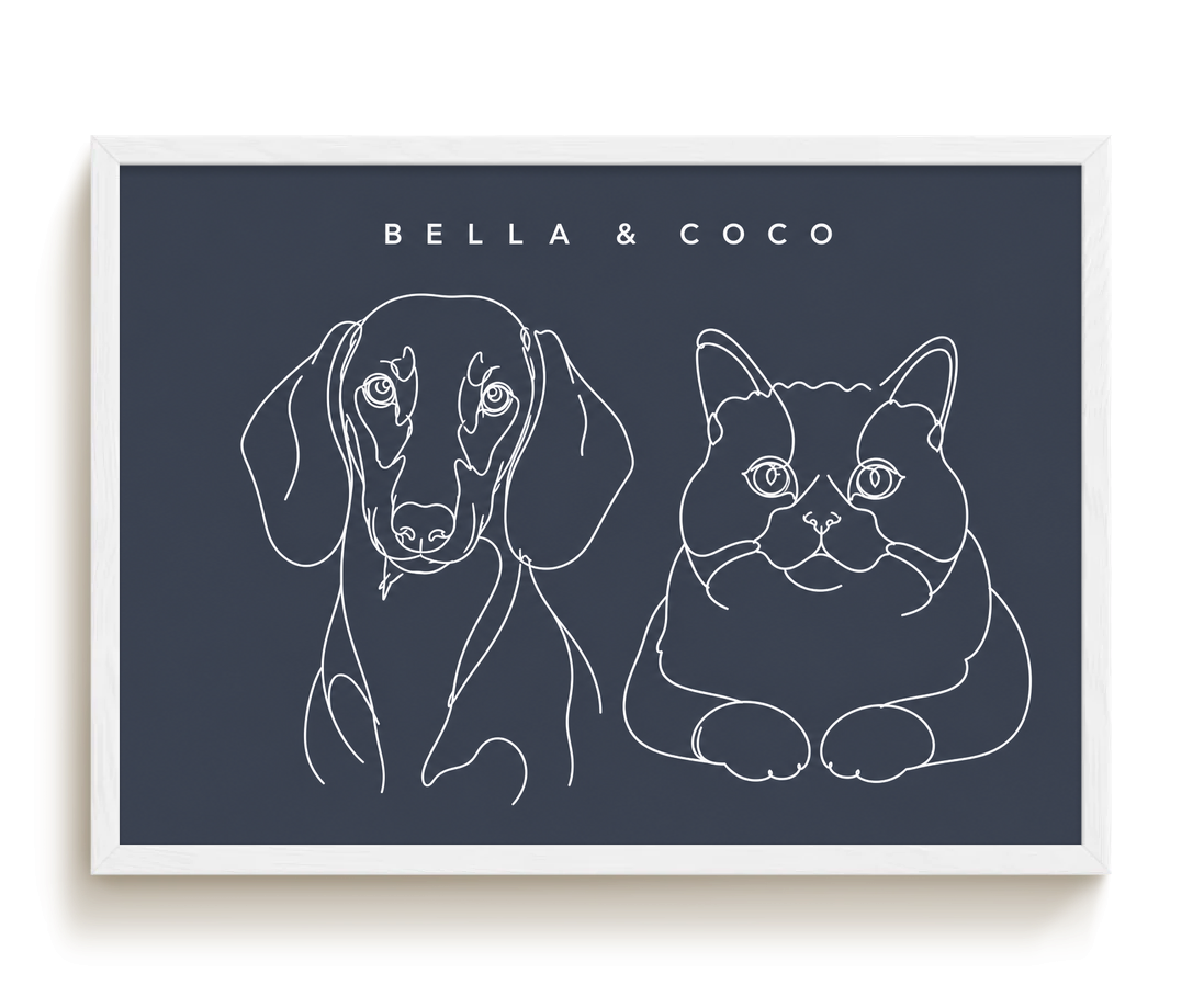 pdp-map:e1665c36cfca55b3:line_drawing_portrait__bella-coco__bg-454b57__text-f7f7f7__White_Horizontal.png