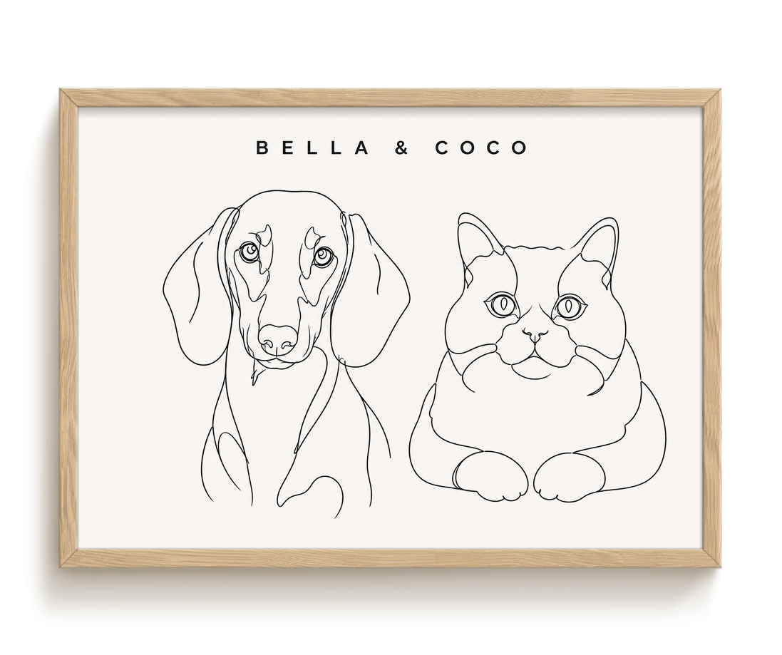 pdp-map:5ef4dd0248e19f59:line_drawing_portrait__bella-coco__bg-f7f7f7__text-242424__Birch_Horizontal.png