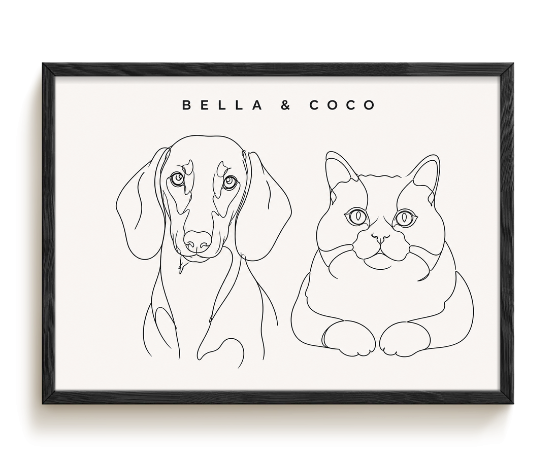 pdp-map:fcdb8cc3c71031af:line_drawing_portrait__bella-coco__bg-f7f7f7__text-242424__Black_Horizontal.png