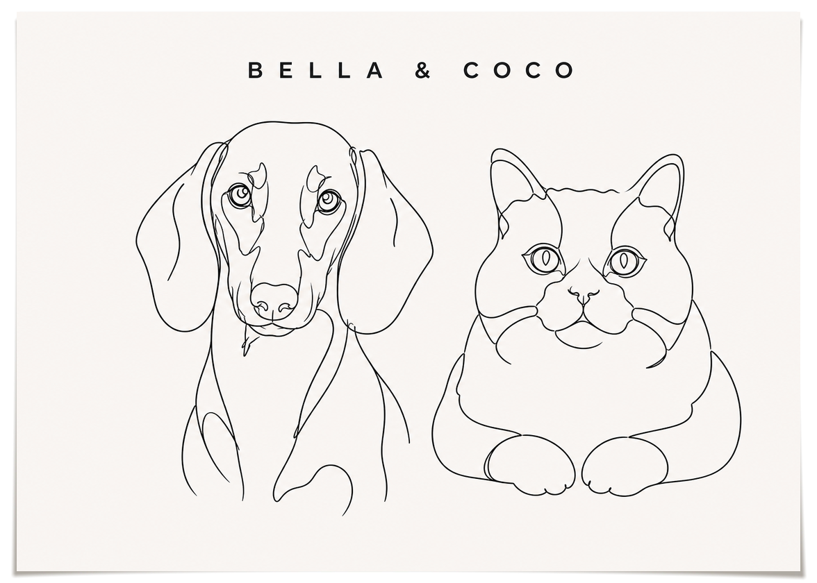pdp-map:78252f44eafb7498:line_drawing_portrait__bella-coco__bg-f7f7f7__text-242424__No_Frame_Horizontal.png