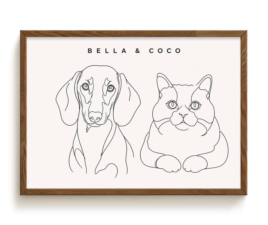 pdp-map:235606582cdc0667:line_drawing_portrait__bella-coco__bg-f7f7f7__text-242424__Walnut_Horizontal.png