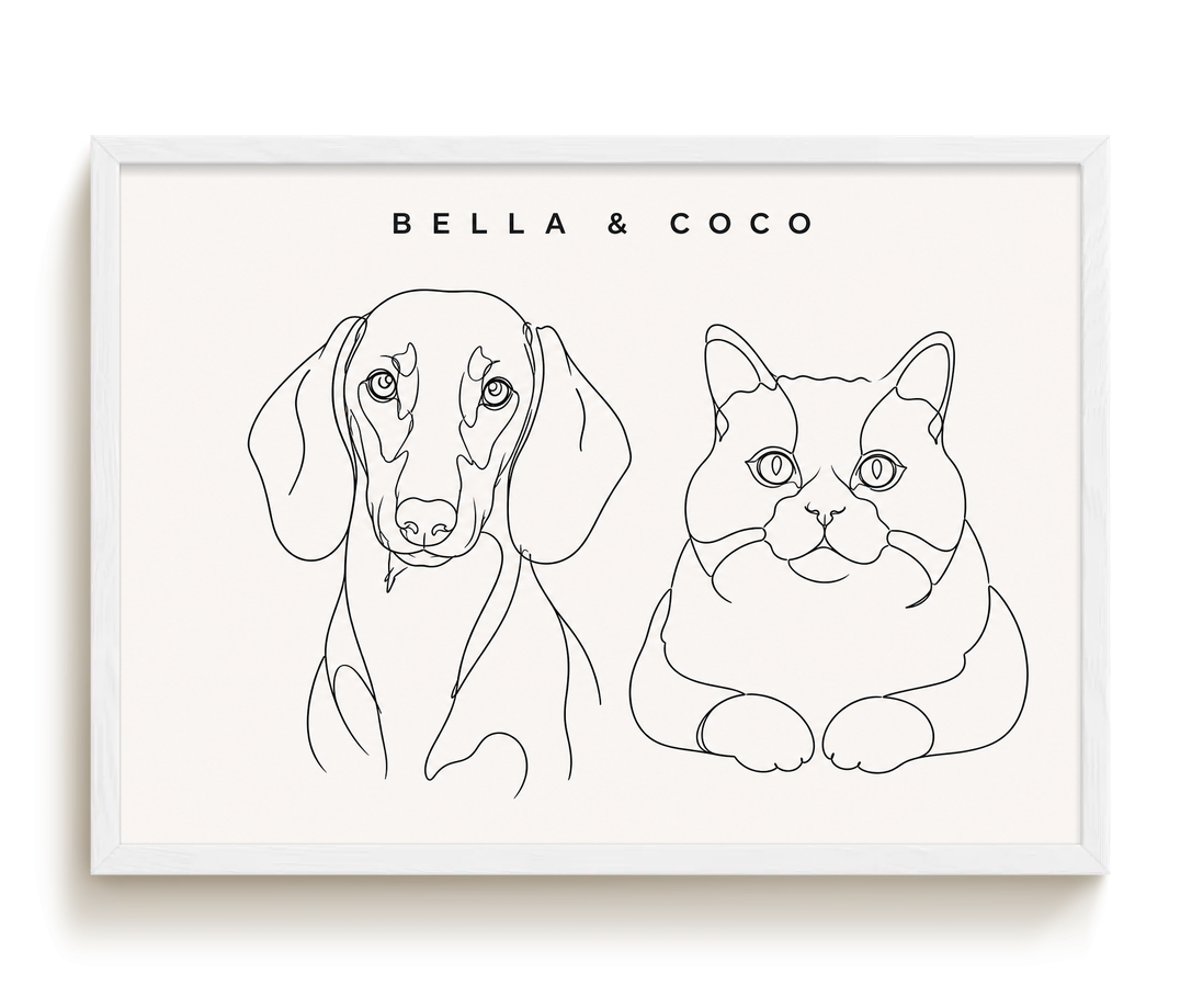 pdp-map:e855f6ab7ef280e5:line_drawing_portrait__bella-coco__bg-f7f7f7__text-242424__White_Horizontal.png