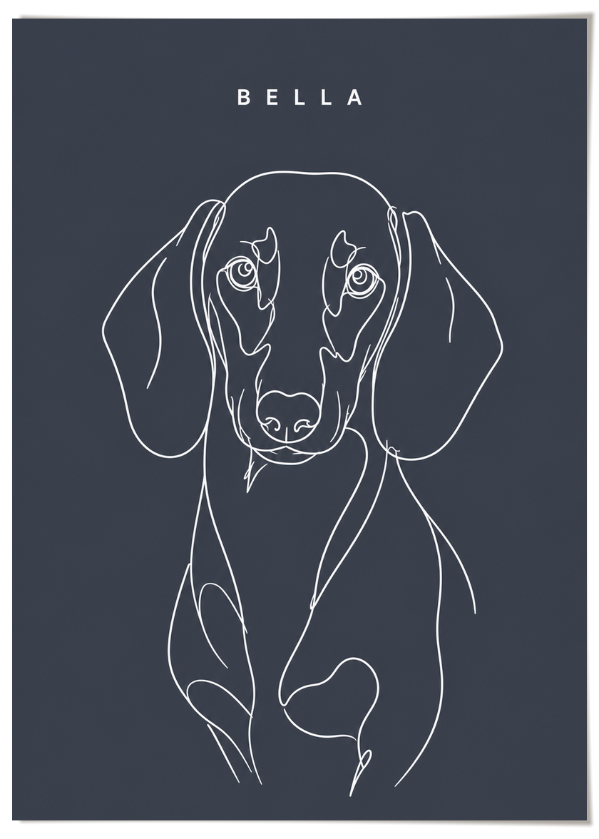 pdp-map:b527b40778e4f0ba:line_drawing_portrait__bella__bg-454b57__text-f7f7f7__No_Frame_Vertical.png
