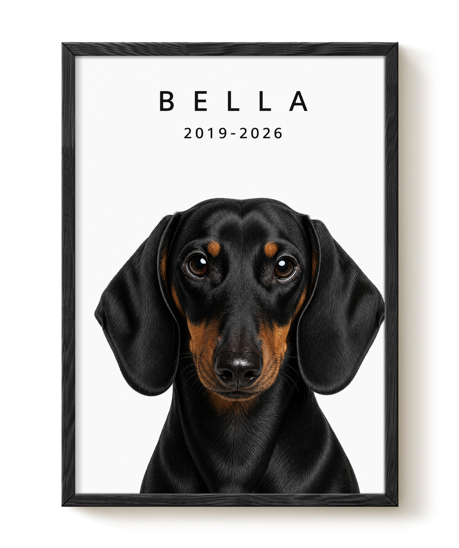 pdp-map:078d8df25ba3b249:memorial_portrait__bella__bg-f7f7f7__text-242424__without-halo__Black_Vertical.png