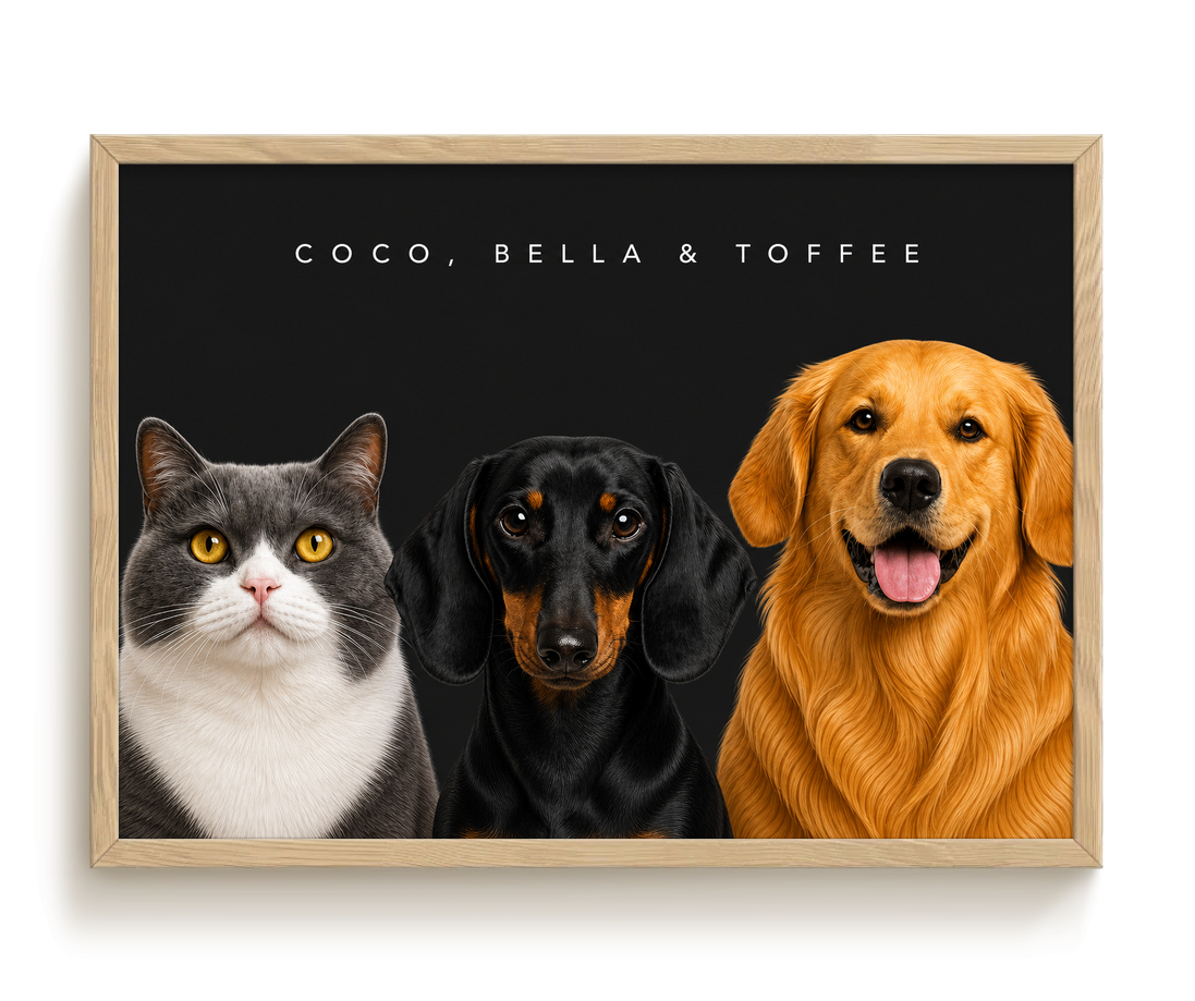 pdp-map:fadf8eecb5e60e38:modern_portrait__coco-bella-toffee__bg-242424__text-f7f7f7__Birch_Horizontal.png