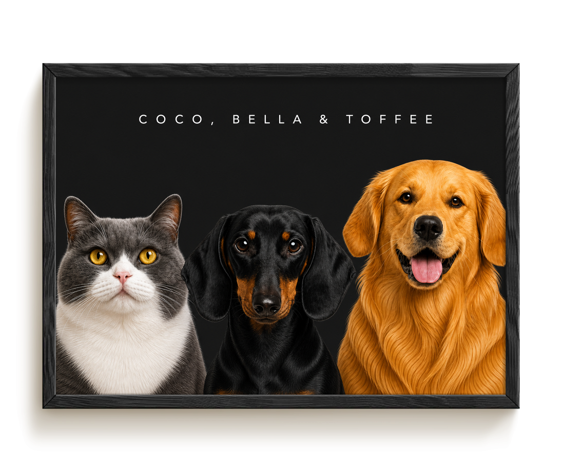 pdp-map:72979d217ddea1f3:modern_portrait__coco-bella-toffee__bg-242424__text-f7f7f7__Black_Horizontal.png