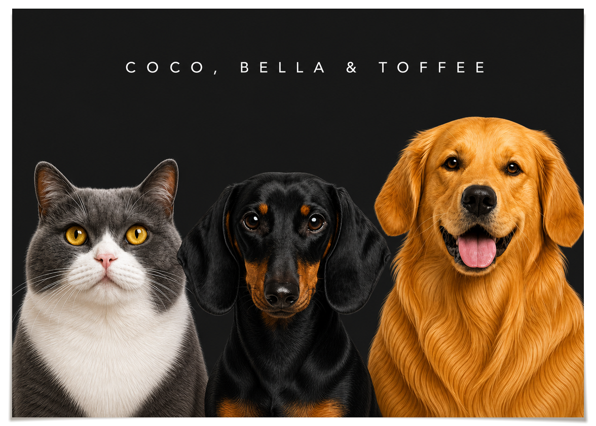 pdp-map:5341c25adf2656e5:modern_portrait__coco-bella-toffee__bg-242424__text-f7f7f7__No_Frame_Horizontal.png