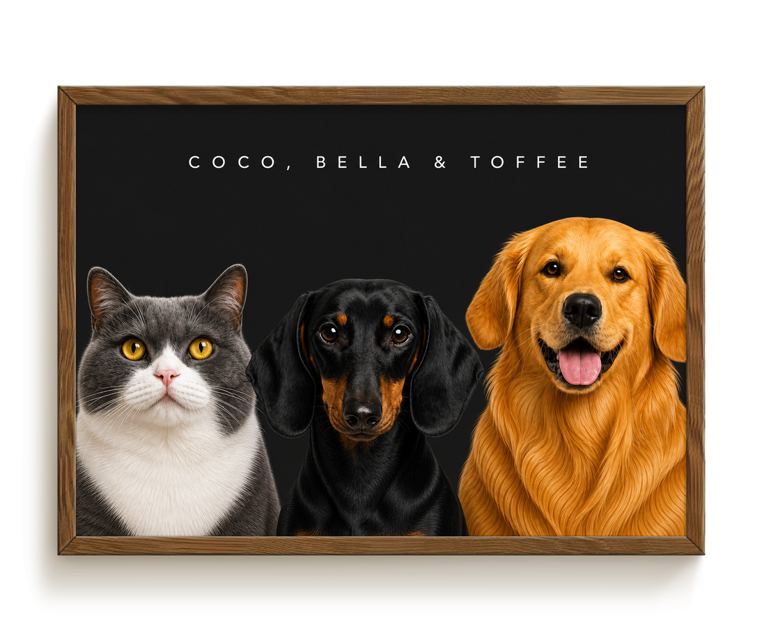pdp-map:c47c7bc21e011746:modern_portrait__coco-bella-toffee__bg-242424__text-f7f7f7__Walnut_Horizontal.png