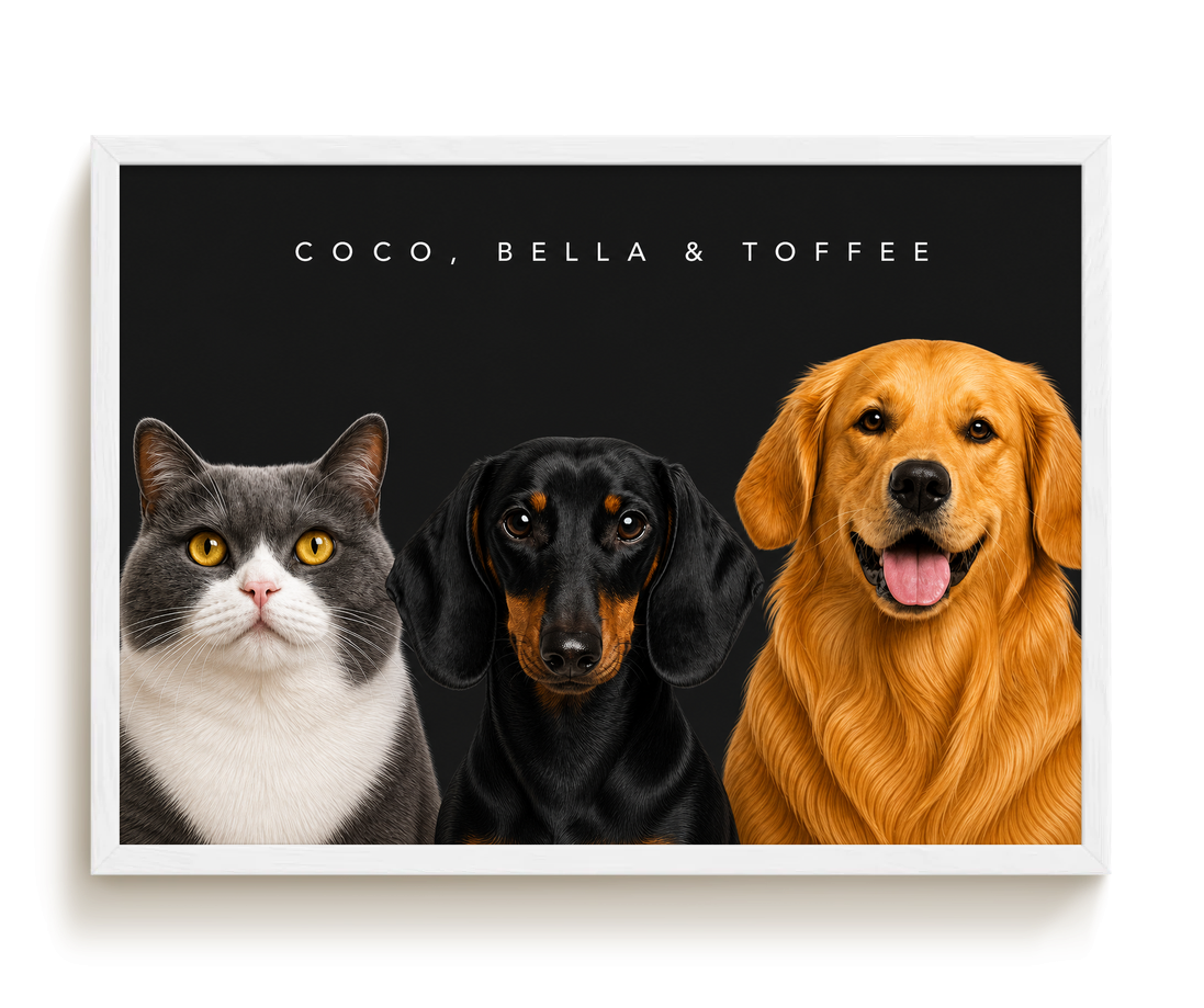 pdp-map:33ac53f0c5d690df:modern_portrait__coco-bella-toffee__bg-242424__text-f7f7f7__White_Horizontal.png