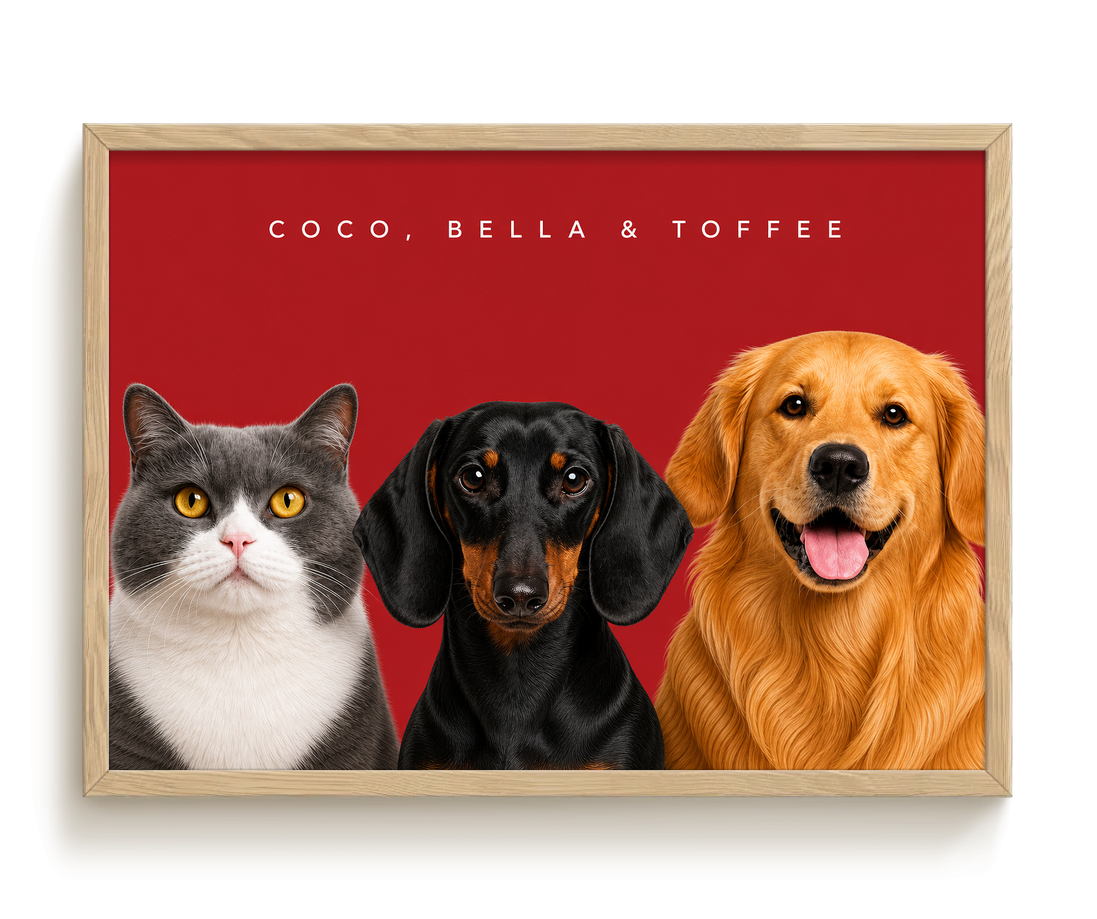 pdp-map:9080eb64514a4251:modern_portrait__coco-bella-toffee__bg-aa2028__text-f7f7f7__Birch_Horizontal.png