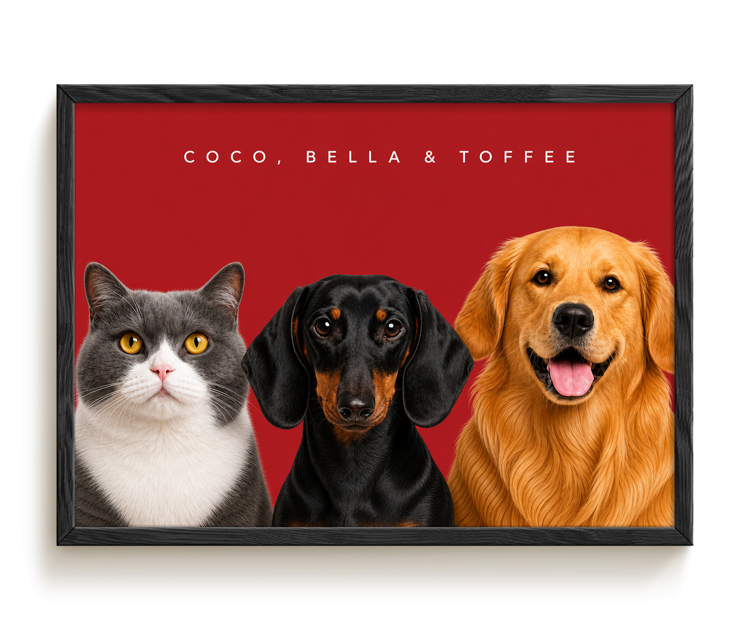 pdp-map:983411c9491abad6:modern_portrait__coco-bella-toffee__bg-aa2028__text-f7f7f7__Black_Horizontal.png