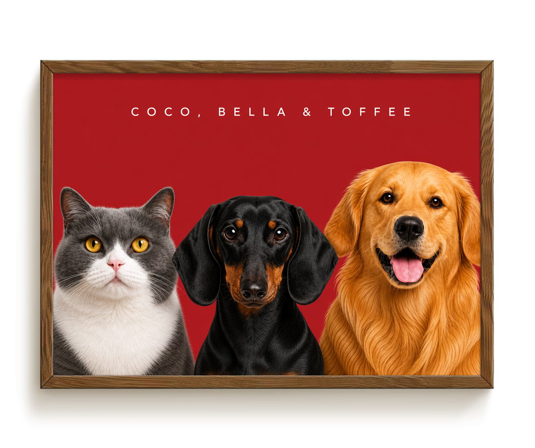 pdp-map:2e6020c27bce4d63:modern_portrait__coco-bella-toffee__bg-aa2028__text-f7f7f7__Walnut_Horizontal.png