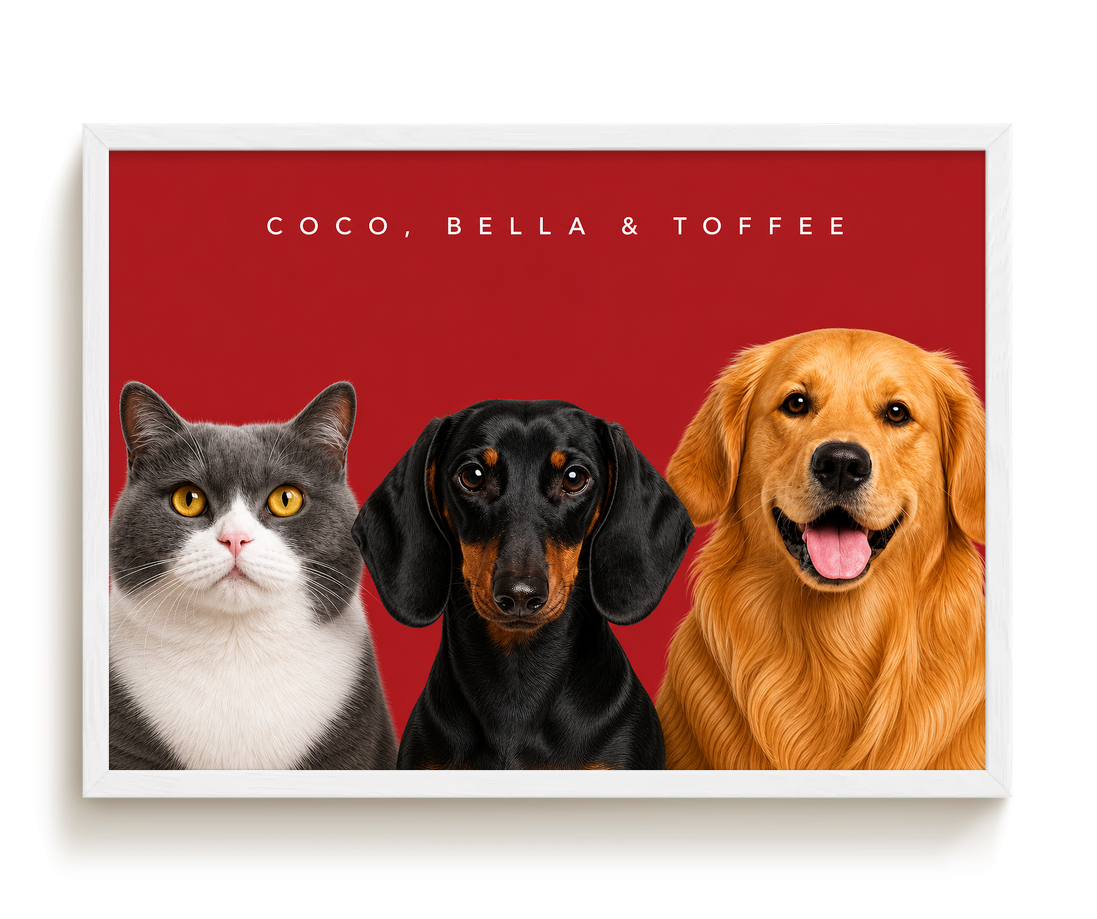 pdp-map:7e9c63caaee8b112:modern_portrait__coco-bella-toffee__bg-aa2028__text-f7f7f7__White_Horizontal.png