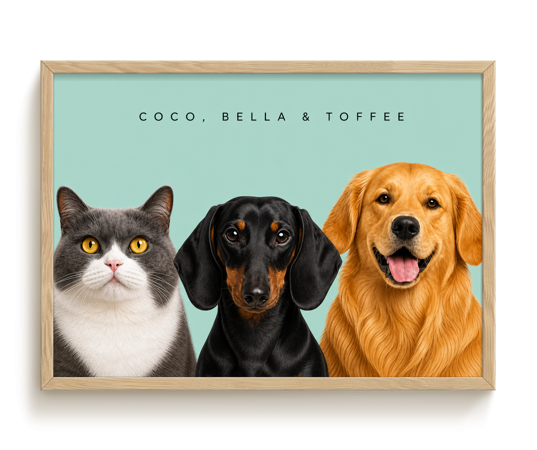 pdp-map:4db52477127eccca:modern_portrait__coco-bella-toffee__bg-add6cc__text-242424__Birch_Horizontal.png