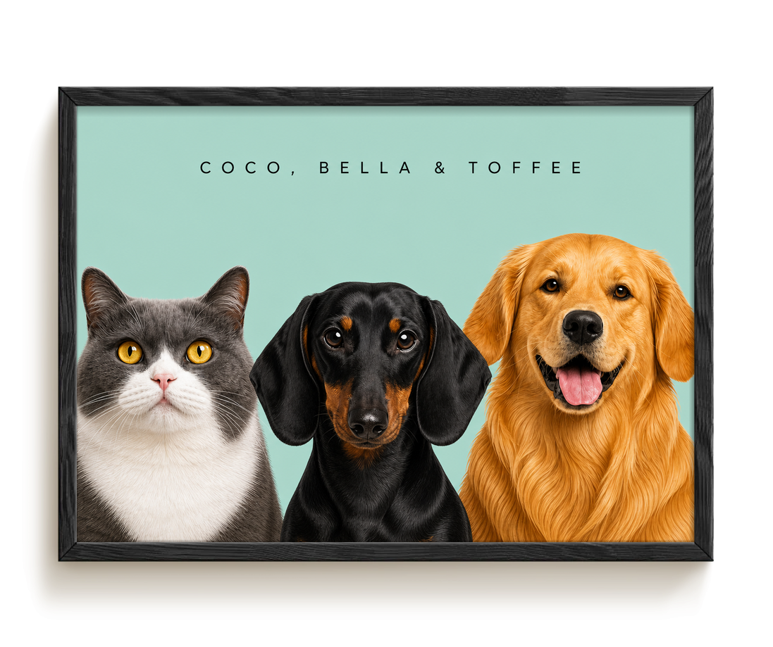 pdp-map:59b02e9cdafcdf48:modern_portrait__coco-bella-toffee__bg-add6cc__text-242424__Black_Horizontal.png