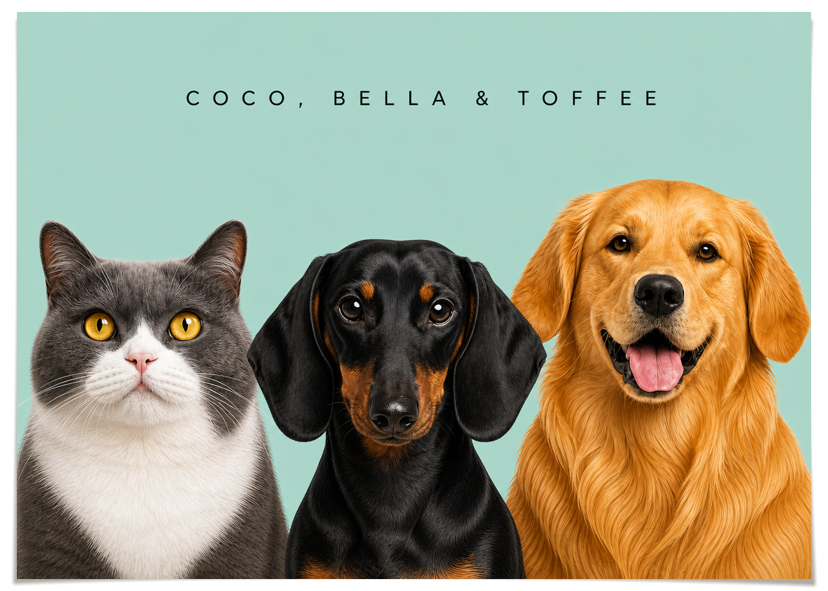 pdp-map:804498689adb4c8d:modern_portrait__coco-bella-toffee__bg-add6cc__text-242424__No_Frame_Horizontal.png