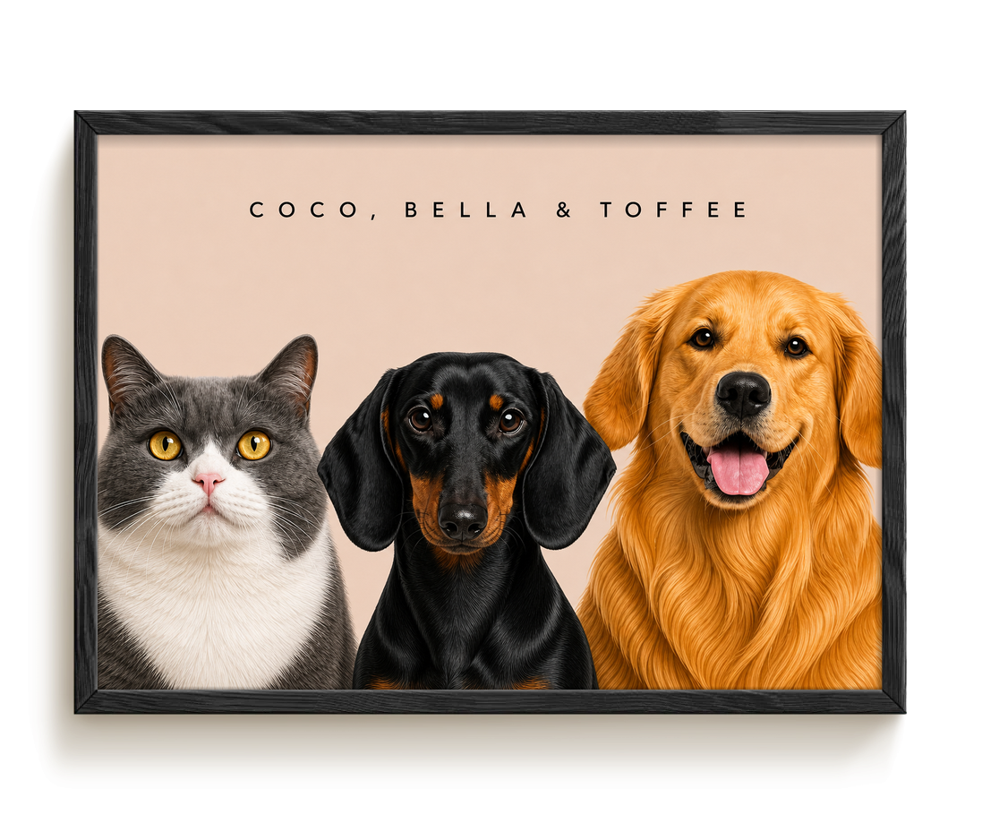 pdp-map:68b705d9dd560ec9:modern_portrait__coco-bella-toffee__bg-e6d3c7__text-242424__Black_Horizontal.png