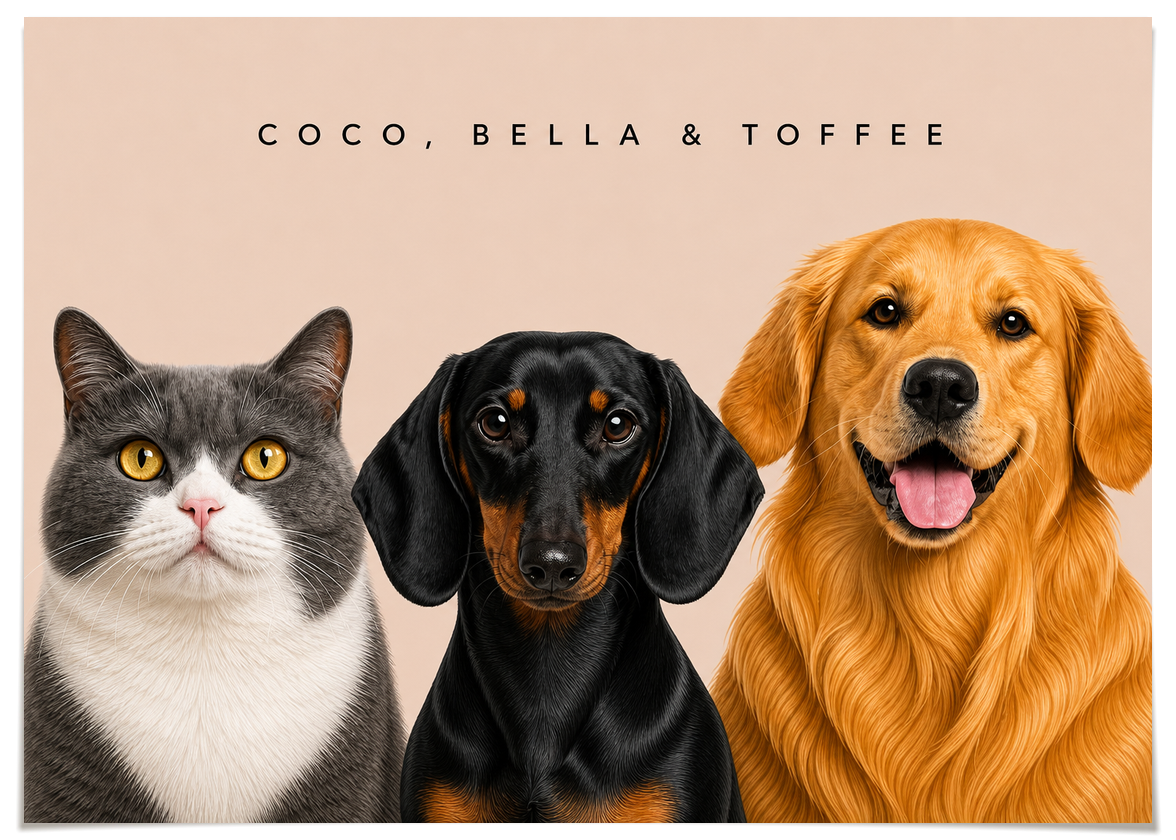 pdp-map:31736897ee0fee5e:modern_portrait__coco-bella-toffee__bg-e6d3c7__text-242424__No_Frame_Horizontal.png