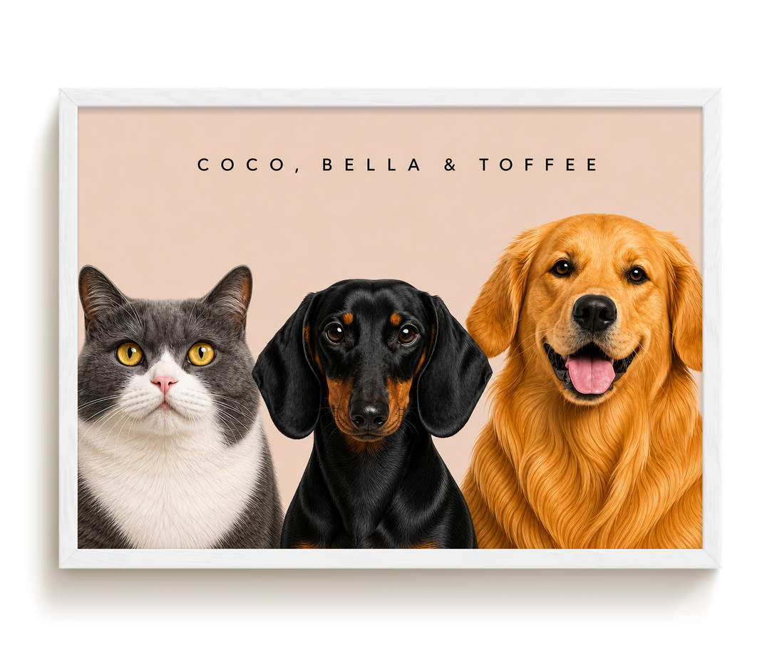 pdp-map:a616ab7e93ce6c55:modern_portrait__coco-bella-toffee__bg-e6d3c7__text-242424__White_Horizontal.png