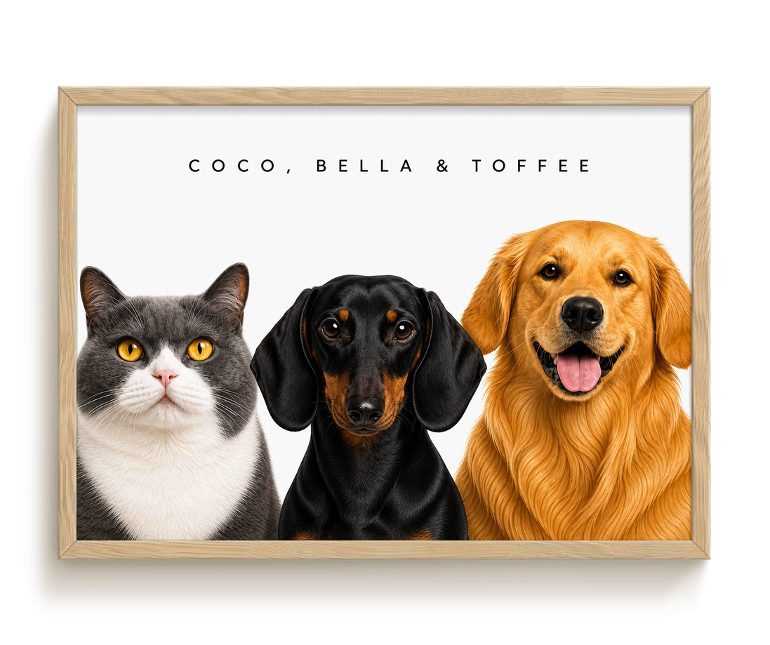 pdp-map:5e15797a2c0e9319:modern_portrait__coco-bella-toffee__bg-f7f7f7__text-242424__Birch_Horizontal.png