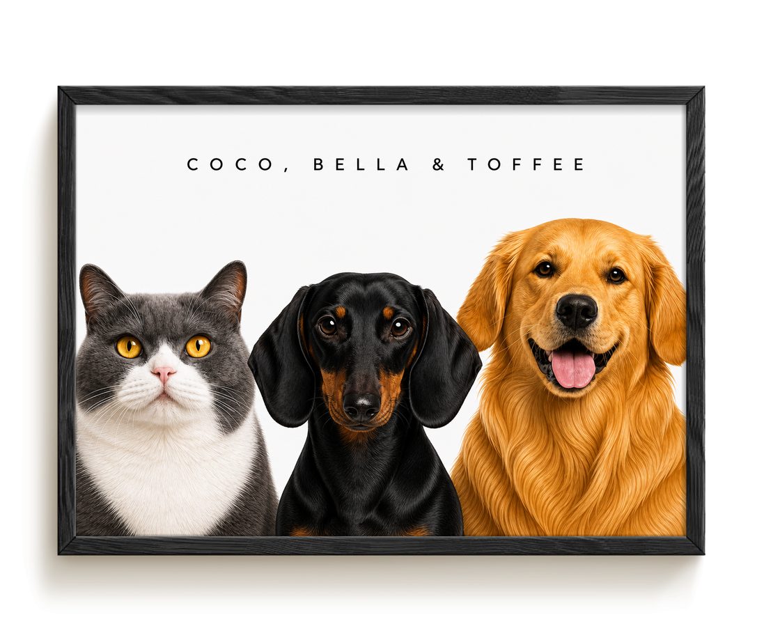 pdp-map:e0c961e3b5e29059:modern_portrait__coco-bella-toffee__bg-f7f7f7__text-242424__Black_Horizontal.png
