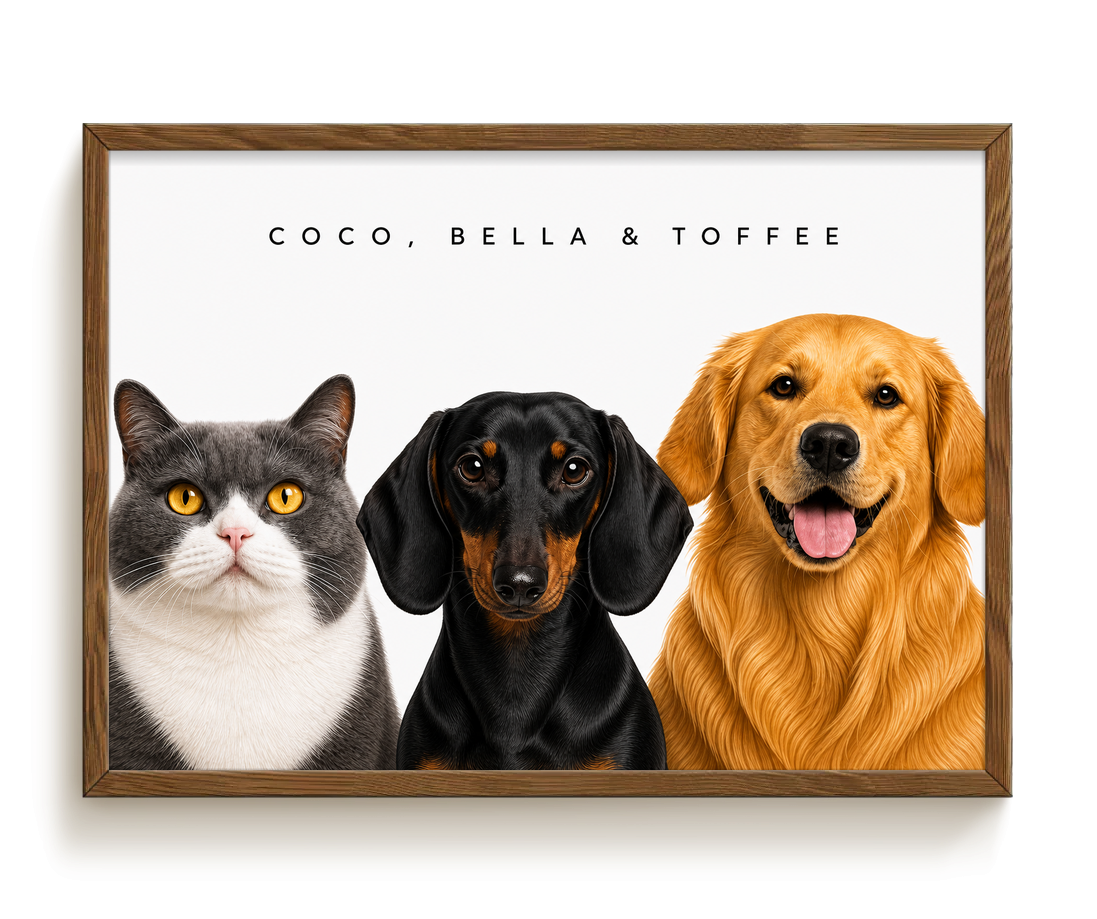 pdp-map:cf0e095fc1a10fc3:modern_portrait__coco-bella-toffee__bg-f7f7f7__text-242424__Walnut_Horizontal.png